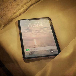 国内精品人妻无码久久久影院蜜桃
