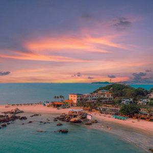 国内精品人妻无码久久久影院蜜桃
